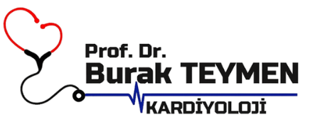 Prof. Dr. Burak Teymen