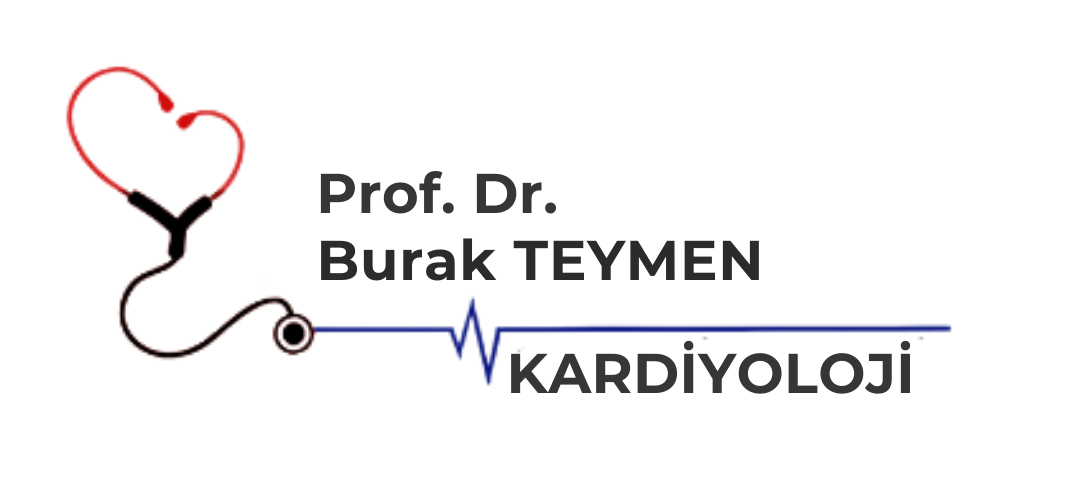 Prof. Dr. Burak Teymen