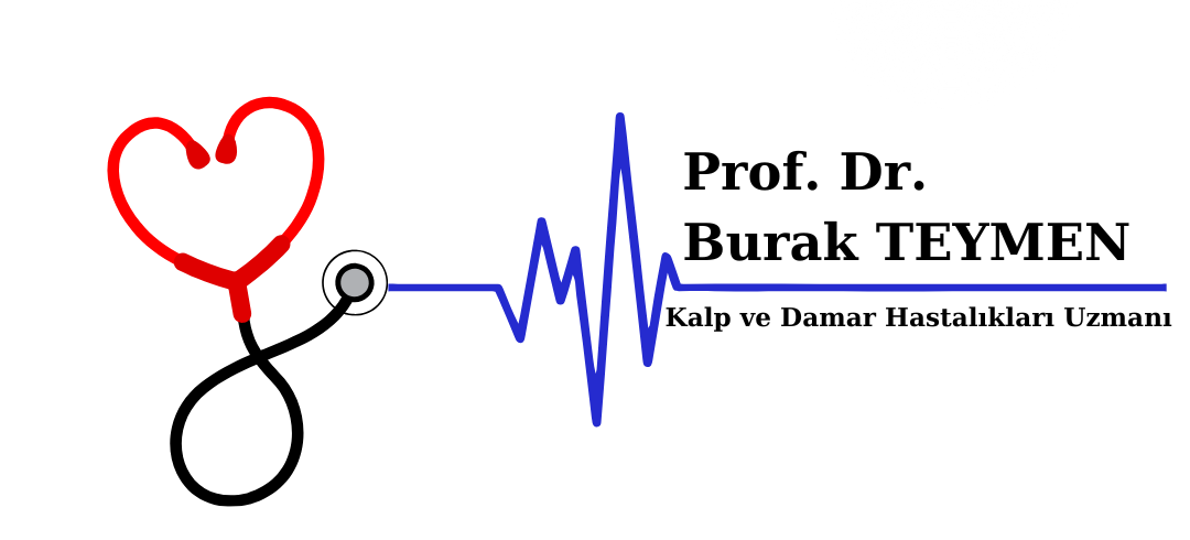 Prof. Dr. Burak Teymen